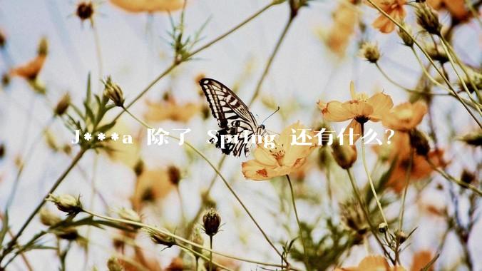 J***a 除了 Spring 还有什么？