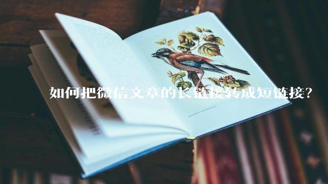 如何把微信文章的长链接转成短链接？
