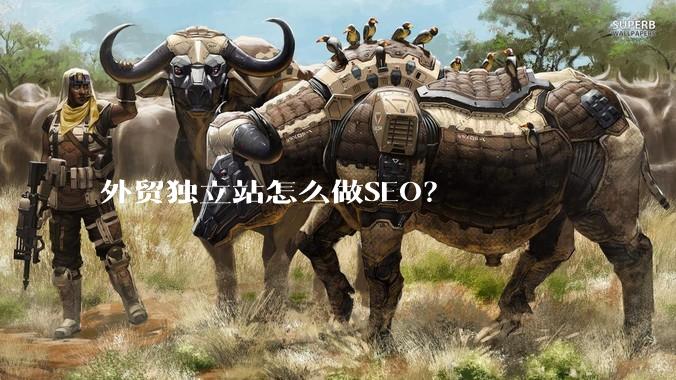 外贸独立站怎么做SEO？