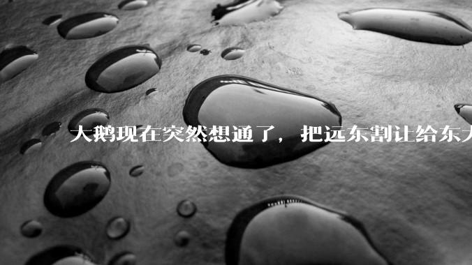 大鹅现在突然想通了，把远东割让给东大，会有什么后果？