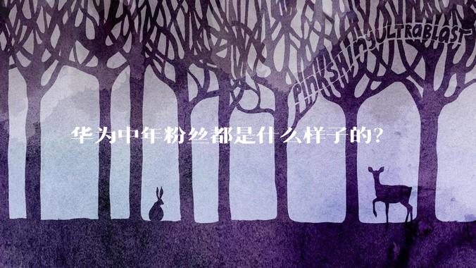 华为中年粉丝都是什么样子的？