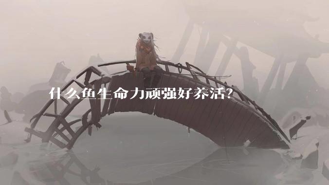 什么鱼生命力顽强好养活？