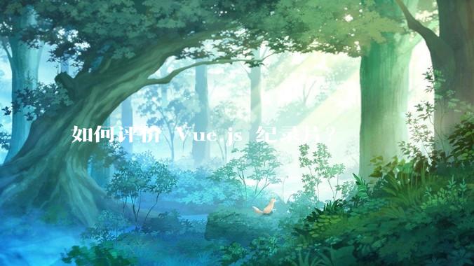 如何评价 Vue.js 纪录片？
